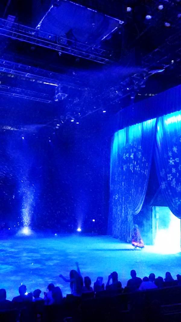 תפאורה עוצרת נשימה במופע דיסני על הקרח|צילום: יח"צ
